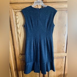 Ann Taylor Dress